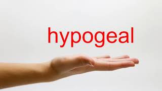 How to Pronounce hypogeal  American English [upl. by Jacobine]