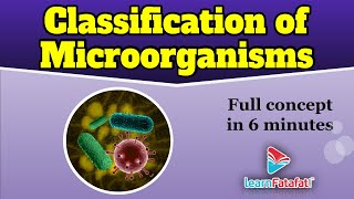 Class 8 Science Chapter 2 Microorganisms Friend and Foe  Classification of Microorganisms [upl. by Bluhm933]