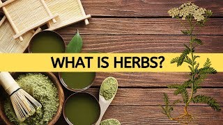 What Is Herbs  Herb And Their Uses [upl. by Iatnahs]