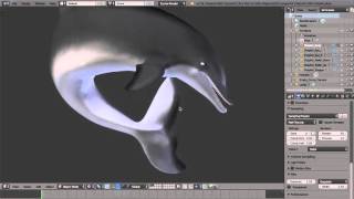 Bottlenose Dolphin 3D Model Blender 276b [upl. by Hallutama]