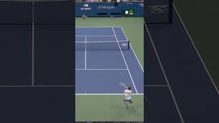 Daniil Medvedevs TOTAL tennis point 🔥 [upl. by Eelsnia]