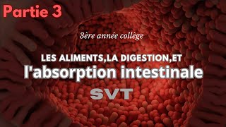 chapitre1 les aliments la digestion et labsorption intestinale Partie 3 labsorption intestinale [upl. by Nahgem816]