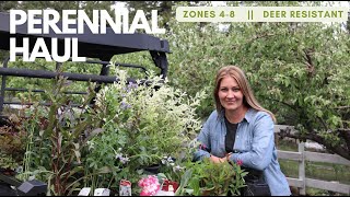 Perennial Plant Haul  mostly zones 48 amp deer resistant [upl. by Ttezzil]