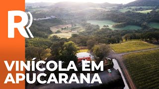 Fica no Paraná Conheça a vinícola Carnasciali em Apucarana [upl. by Sadowski]