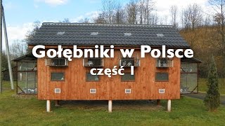 Gołębniki w Polsce  część 1 [upl. by Elsie]