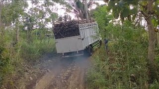 JALAN LICIN  TANJAKAN  BELOKAN  truk muat tebu truck automobile offroad youtube [upl. by Berner742]