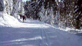 Langlaufen Bayerischer Wald Lalling Skigebiet DeggendorfRuselOberbreitenau [upl. by Gerger284]