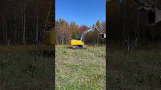 Think the top will unscrew excavator heavyequipment youtuber [upl. by Ffilc]