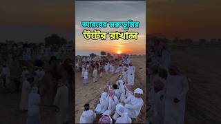 রাখাল যেভাবে মরুভূমিতে উট ছড়ায়।🐪 মরুভূমি রাখাল আরব প্রবাসী প্রবাসজীবন [upl. by Hafinah670]