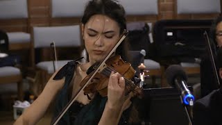 Violin Concerto in D minor Op 47 Mvt 1  Jean Sibelius [upl. by Kela]