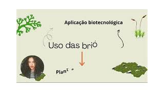 vídeo sobre a importância econômica e ecológica das Briófitas e Pteridófitas [upl. by Babara]