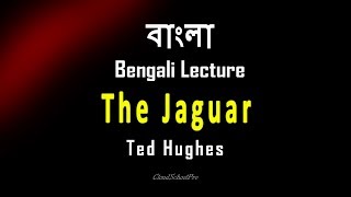 The Jaguar by Ted Hughes  বাংলা লেকচার  Bengali Lecture [upl. by Westlund]