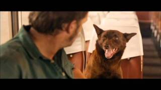 FetchTV  Red Dog Movie Trailer 2011 [upl. by Lladnek825]