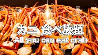 【カニ食べ放題付きバイキング】Buffet with allyoucaneat crab No72（2024118） [upl. by Mushro]