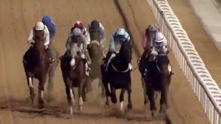 DWCC Meydan Racecourse 25216 Race 6 Trans Gulf Electromechanical Trophy Handicap [upl. by Ofori456]