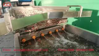 Automatic Pomegranate Deseeder Machine Pomegranate Process Machine [upl. by Zackariah649]