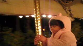 zoo lights carousel ride 2010 [upl. by Ednihek]