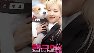 Rose loves dog blackpink editroseshort [upl. by Acirederf]