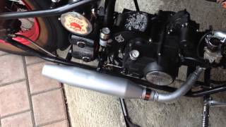 Hardknock Kikker 5150 Sound 125ccm [upl. by Lerual]