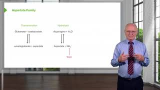 Aspartate Family amp Asparagine Metabolism [upl. by Dielle]