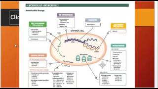 MRCEM Part A FF Infectious Disease Pharmacology FRCEM EmergencyMedicine EM MRCEM FRCEMPrimary [upl. by Aderfla]