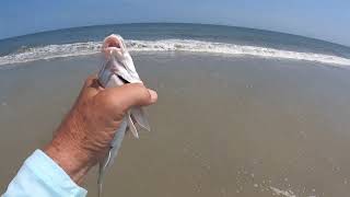 04 04 2023 Surf Fishing Tybee Island [upl. by Tsugua]