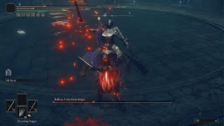 ELDEN RING  Rellana Twin Moon Knight  Parry amp Daggers no summons [upl. by Nomrac309]