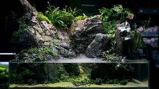 PALUDARIUM Rainforest Experience  REAL WATERFALL and Monumental Hardscape [upl. by Yhtir]