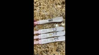 Initial Beta Results Are In Pregnancy Line Progression 1013 DPO TTC Naturally at 39 [upl. by Oremodlab]