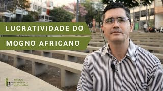 Qual a lucratividade do Mogno Africano  2018 [upl. by Araz]