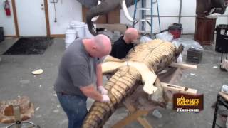 Taxidermy Time Lapse  Crocodile [upl. by Ervine]