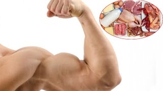 Quante proteine servono per mettere su muscolo [upl. by Alletnahs]