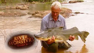 The Rare Jau Catfish  CATFISH  River Monsters [upl. by Wallinga835]