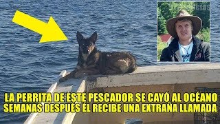 La perrita de este pescador se cayó al océano semanas después recibe una extraña llamada telefónica [upl. by Alguire600]