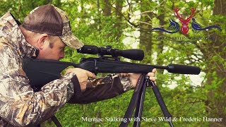 Muntjac Stalking with Steve Wild amp Frederic Hanner [upl. by Ingrid]