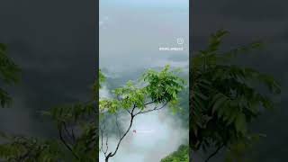 Meghalaya Tourist places shortvideo shillongride meghalayatouristplaces naturalview shillong [upl. by Ulane977]