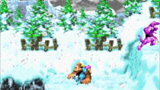 Donkey Kong Country 3GBA FULL GAMEPLAYPart 4 Lake Orangatanga Skiddas Row [upl. by Haisej]