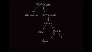 10minute Rounds Why is normal saline considered an isotonic solution [upl. by Ayikat526]