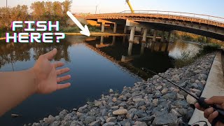 Denver South Platte Smallmouth Tips [upl. by Akceber]