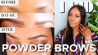 MY POWDER BROWS JOURNEY  OMBRE POWDER BROWS  WHAT YOU NEED TO KNOW [upl. by Sharona292]