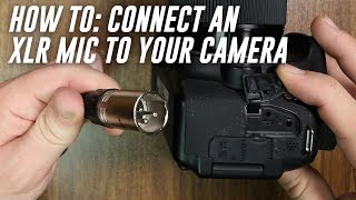 How to Use Your XLR Mic when Recording Video for Beginners FAQ Series [upl. by Enrica]