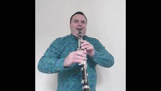 Carmen Fantasy Finale for Clarinet 🎷 shorts clarinet [upl. by Flem]