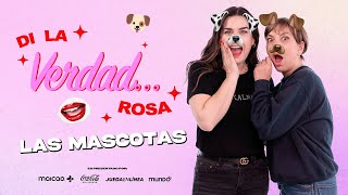 Di la verdad Rosa Las mascotas 🐶💖  Yuly [upl. by Nertie927]