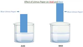 ACID AND BASE LITMUS PAPER LITMUS PAPER TEST in English [upl. by Dorice222]