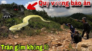 Kinh Hoàng Phát Hiện Trăn Gấm Khổng Lồ Bò Ngang Qua Đường  Quỷ Vương Trả Ơn [upl. by Resarf]