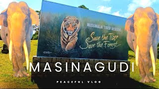 Mudumalai Tiger Reserve 🐅 masinagudi peaceful vlog [upl. by Isador]