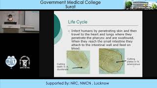 Ancylostoma Duodenale and Necator Americanus by Dr Alpa Patel Microbiology Dept GMCS [upl. by Alduino]