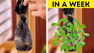 🧑‍🌾🌱 Garden Hacks 101 Simple Tips to Unlock your Inner Gardener [upl. by Molahs]