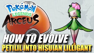 Pokemon Legends Arceus  How To Evolve Petilil Into Hisuian Lilligant  How To Get Hisuian Lilligant [upl. by Ykcor156]