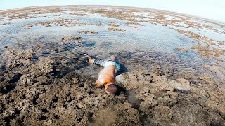 Finding Amazing Sea Creatures In Tide Pools [upl. by Nnaxor]